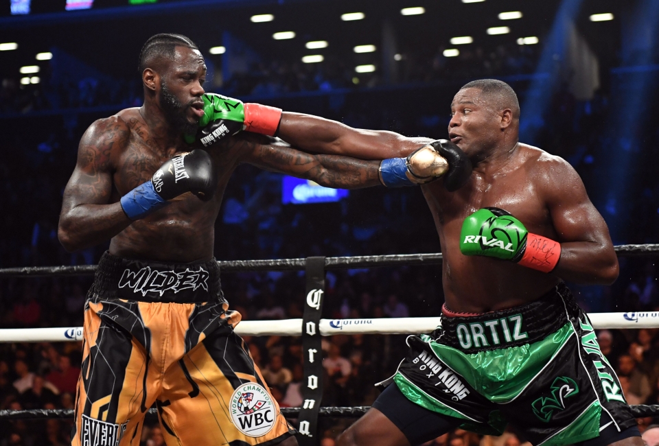 Image result for wilder ortiz 2"