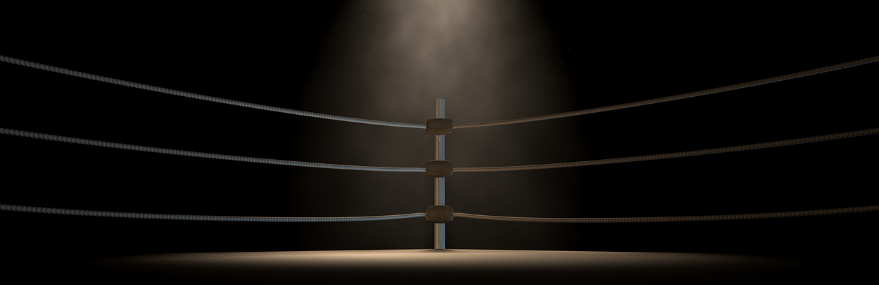 Boxing previews and reviews